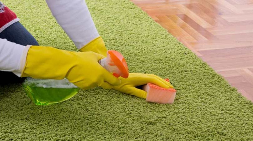 green-carpet-cleaning-1